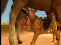 Zoo sex dog gives blowjob to a horse